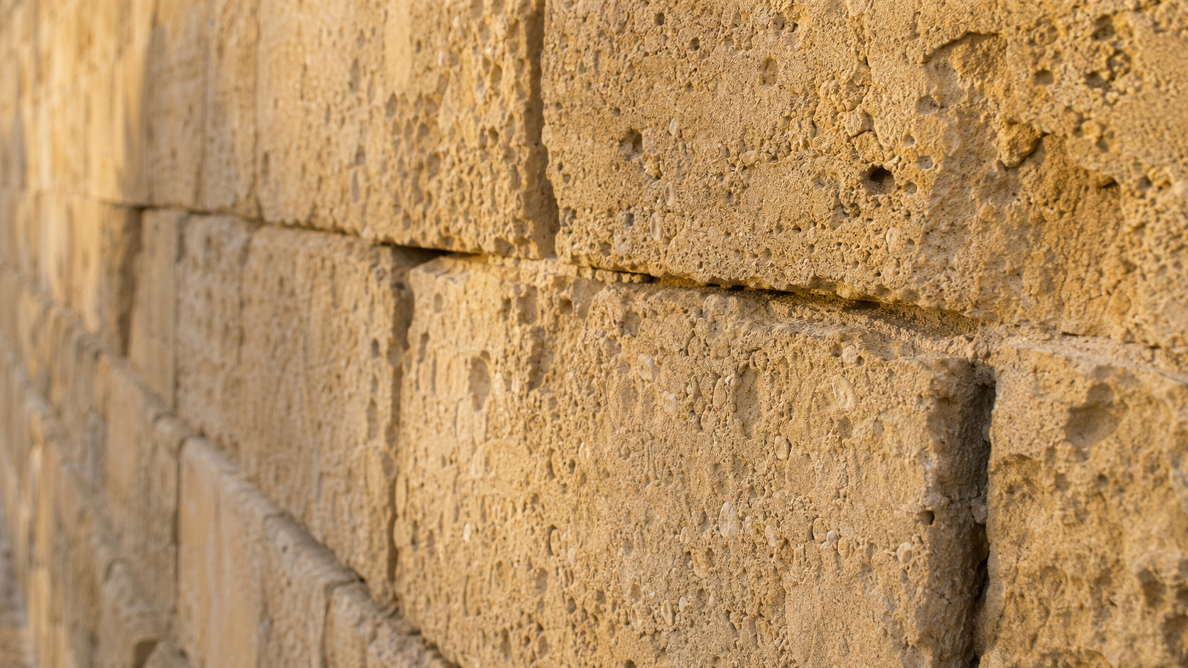 Raking light across a treated franka elevation